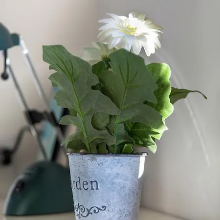 Mansardina - 1 Min From Accademia - Duplex Stylish And Cosy Apartament Wenecja